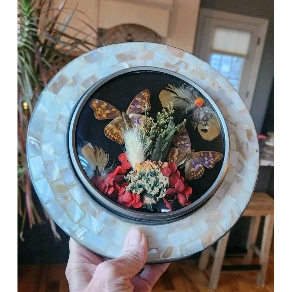 Butterfly Taxidermy Mother Of Pearl Shell Mosaic Frame Convex Bubble Glass Art